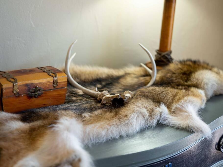 Stonegate Lodge Bear'S Den Kitchen, Pool, Firepit, Wifi ,Smart Tvs 유레카 스프링스 외부 사진